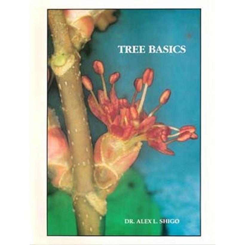 Tree Basics